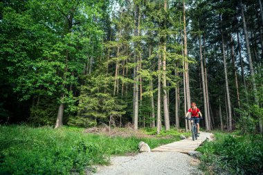 Dağ bisikletçinin yaz ormanda bisiklet sürme