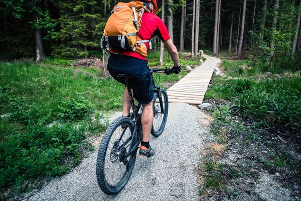 Ciclismo ciclista de montaña en el bosque de verano — Foto de Stock