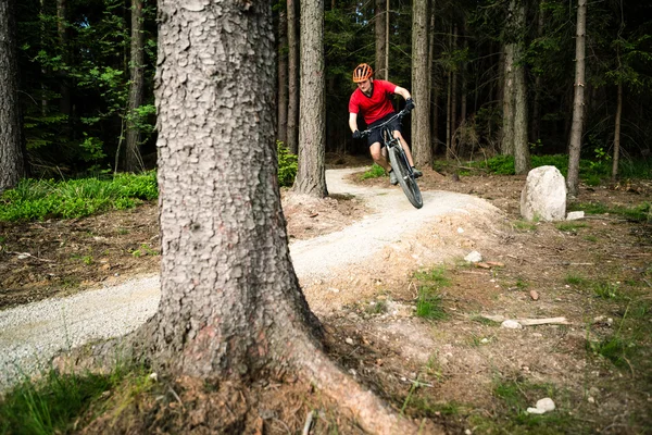 Dağ bisikletçinin yaz ormanda bisiklet sürme