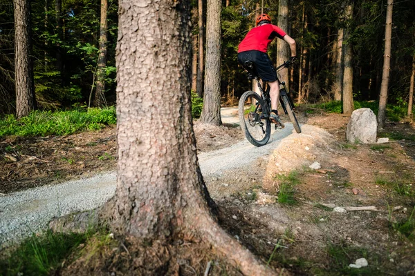 Mountain biker andar de bicicleta na floresta de verão — Fotografia de Stock