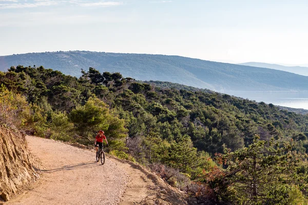 Mountainbiker rijden op de fiets in zomer zonsondergang bos — Stockfoto