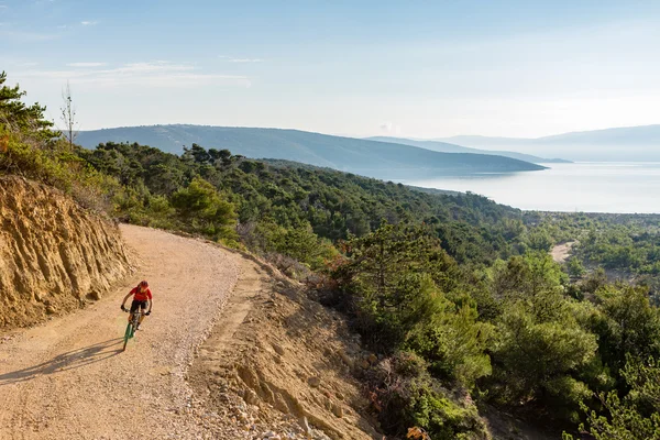 Mountainbiker rijden op mtb fiets in bos — Stockfoto