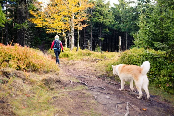 女人在树林里，徒步旅行遛狗 — 图库照片