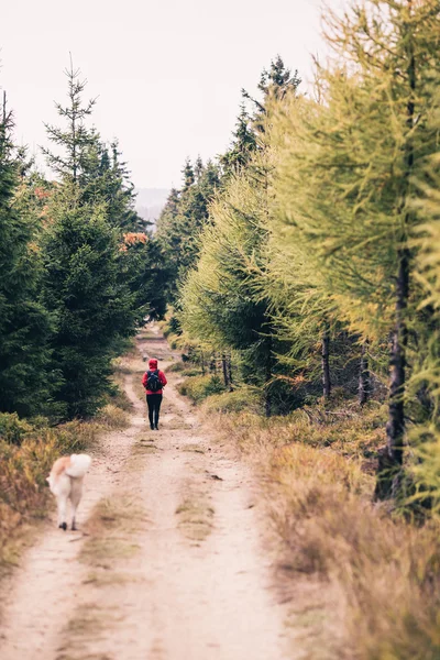 幸せな女が犬を連れて歩いてハイキング — ストック写真