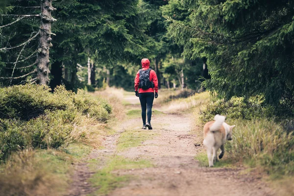 Glückliche Frau beim Spazierengehen mit Hund — Stockfoto