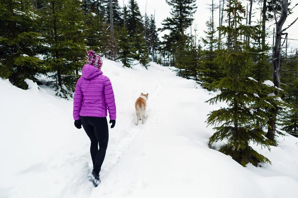 Kvinnan promenader i vinter skog med hund — Stockfoto