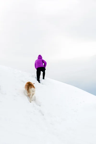 Woman walking on white winter trail with dog — Stock Photo, Image