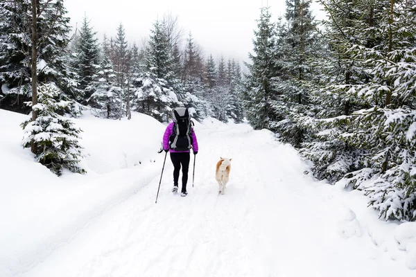 Happy woman walking in winter forest with dog — Stock Photo, Image