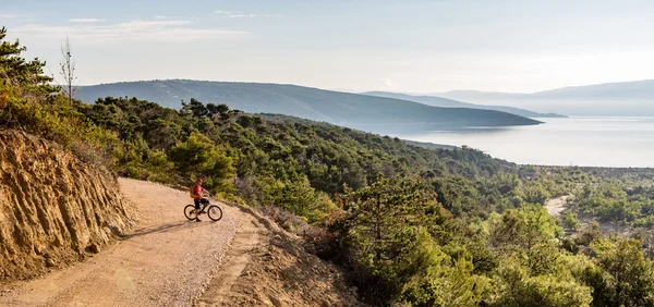 Motociclist de munte pe bicicletă în pădurea de apus de soare de vară — Fotografie, imagine de stoc