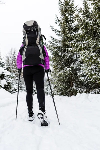 Backpacker kobieta wędrówki w lesie zimą na śniegu — Zdjęcie stockowe