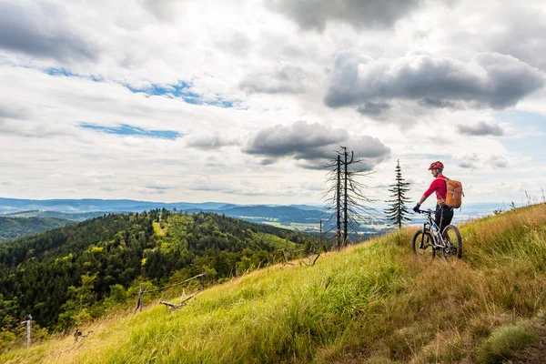 Mountain bike in bicicletta tra boschi e montagne — Foto Stock