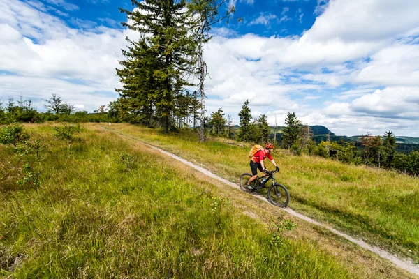 森と山に乗る山の自転車に乗る男 — ストック写真