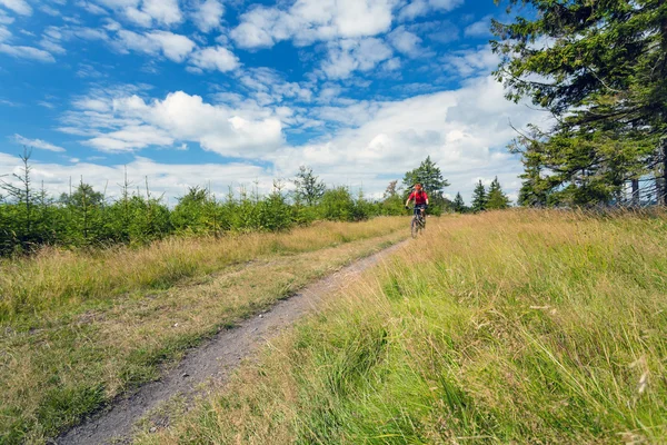 Mountain biker cycling riding in woods and mountains — Stock Photo, Image