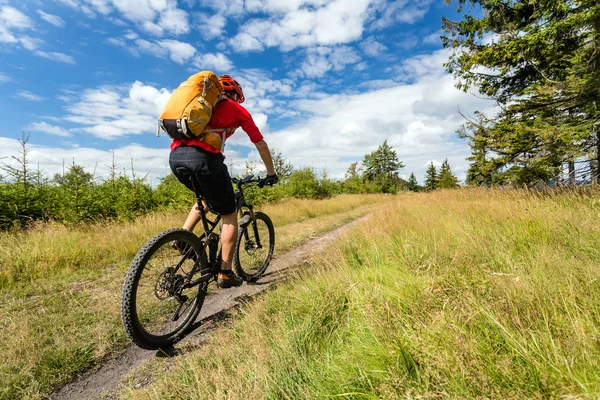 Mountain biker cycling riding in woods and mountains — Stock Photo, Image