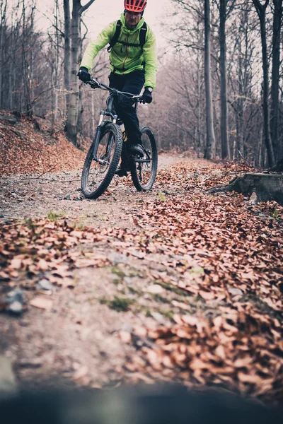 Mountainbiker op-fietsweg in bos — Stockfoto