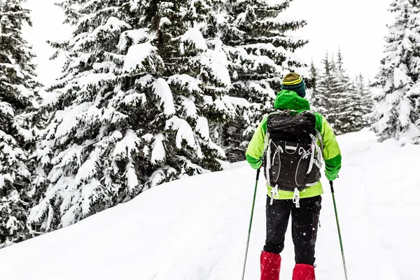 白い森で冬のハイキング — ストック写真