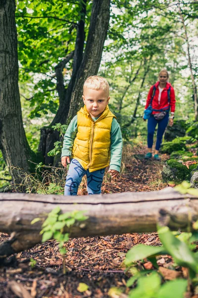 母親と一緒に小さな男の子のハイキング 家族の冒険 岩だらけの緑の森を歩く小さな子供 — ストック写真