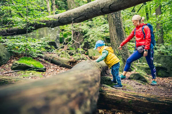 Menino Caminhando Com Mãe Aventura Familiar Pequena Criança Caminhando Floresta Fotografia De Stock