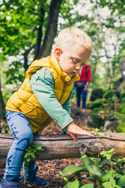 Liten Pojke Vandring Med Mor Familjeäventyr Små Barn Promenader Grön Royaltyfria Stockbilder