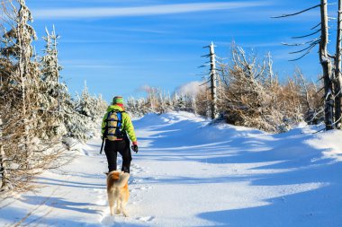 Woman hiking with dog in winter