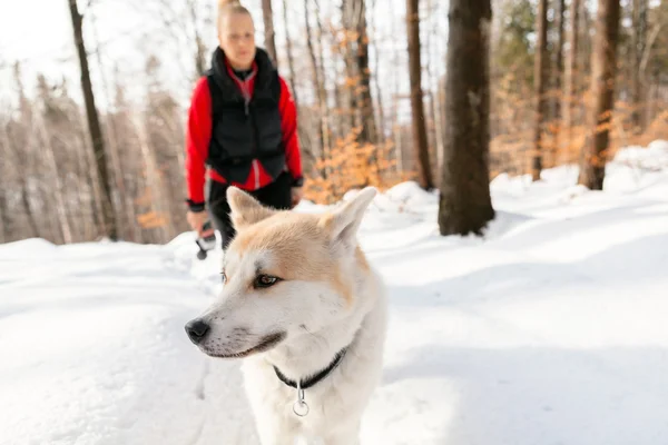 Woman and dog walking in winter mountains — Stock Photo, Image