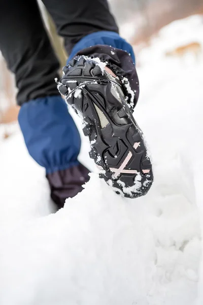 Hiker walking on snow in winter forest — Stock Photo, Image