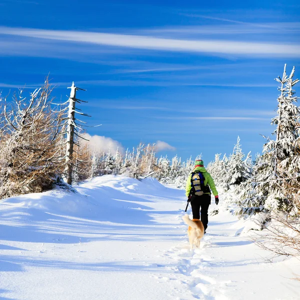 Randonnée hivernale femme et chien — Photo
