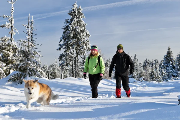 Wandelen met de hond in winter bergen (echt) paar — Stockfoto