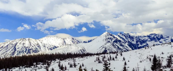 산 파노라마 풍경 겨울 Tatras — 스톡 사진