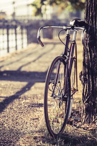 Велосипед с фиксированной передачей — стоковое фото