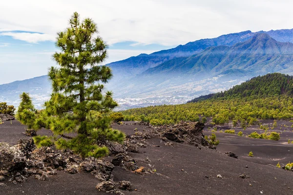 Mountains landscape volcanic island — Stock Photo, Image