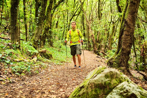 徒步旅行者走在绿色森林徒步旅行 — 图库照片