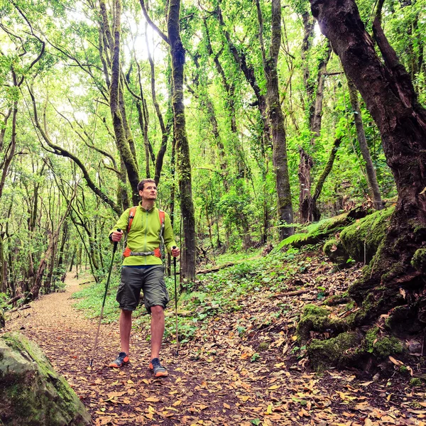 Caminhante caminhando caminhando na floresta verde — Fotografia de Stock