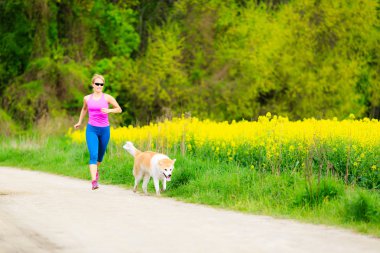Kadın ile köpek yaz Park'ta çalışan