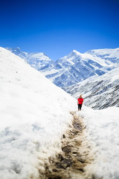 Tired woman climbing and hiking — Stok fotoğraf