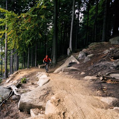 Sonbahar ormanda sürme Mountainbiker