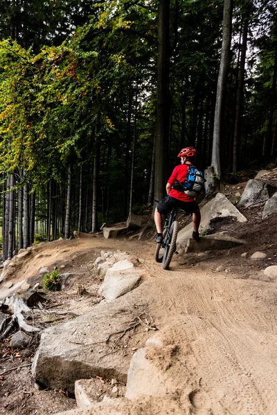 Mountainbiker fietsen in herfst bos — Stockfoto