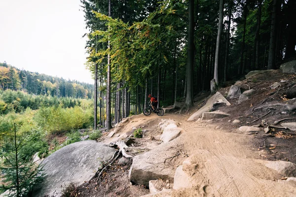 Гірський велосипедист катається в осінньому лісі — стокове фото