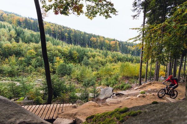 Катание на горных велосипедах по лесу
