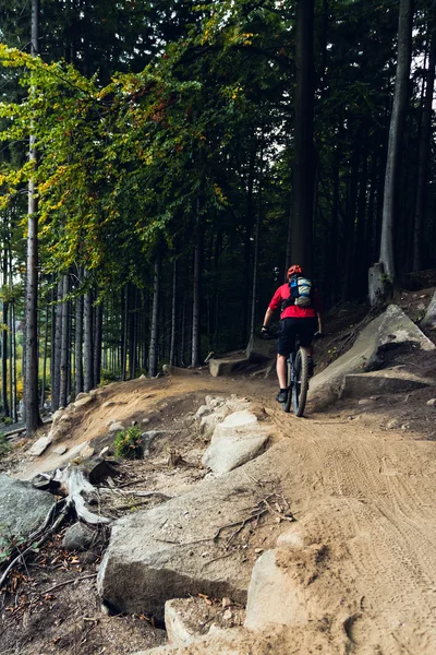 Mountainbiker radeln im Herbstwald — Stockfoto