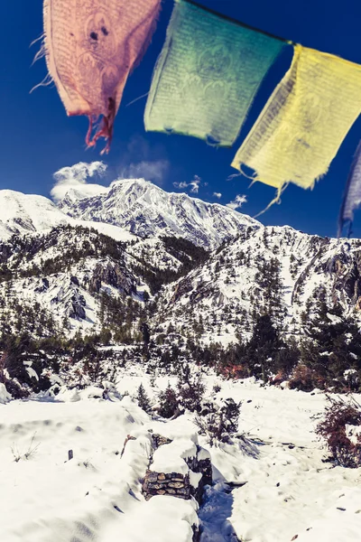 Montanha paisagem inspiradora, Annapurna gama Nepal — Fotografia de Stock