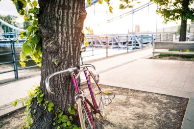 Road fixed bicycle on city street under tree