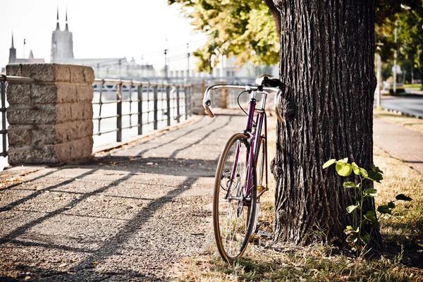 Carretera fija bicicleta en la calle de la ciudad bajo árbol — Foto de Stock