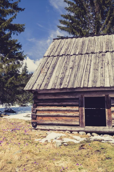 Vallée de Chocholowska, montagnes Tatra, Pologne — Photo