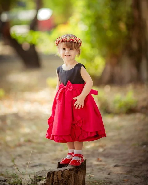 Little girl in wreath and elegant dress — Stock Photo, Image