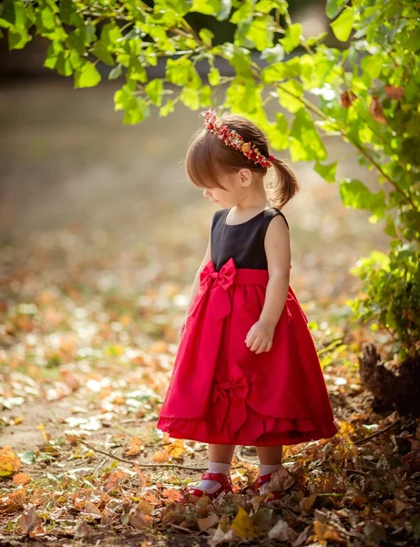 Menina em coroa de flores e vestido elegante — Fotografia de Stock