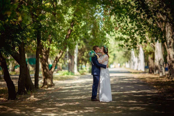 Novia y novio en el día de su boda — Foto de Stock