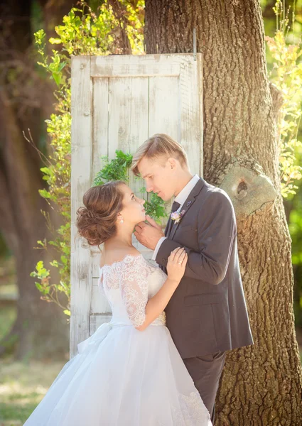 Noiva e noivo em seu dia de casamento — Fotografia de Stock