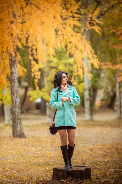 Hermosa chica en el jardín de otoño —  Fotos de Stock