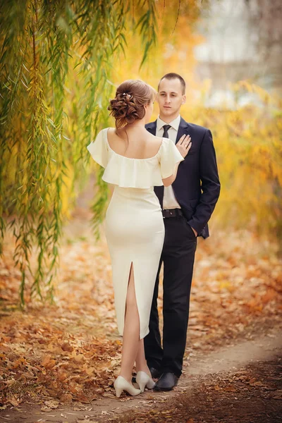 Novia y novio en el día de su boda — Foto de Stock